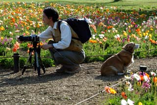 犬とカメラマン